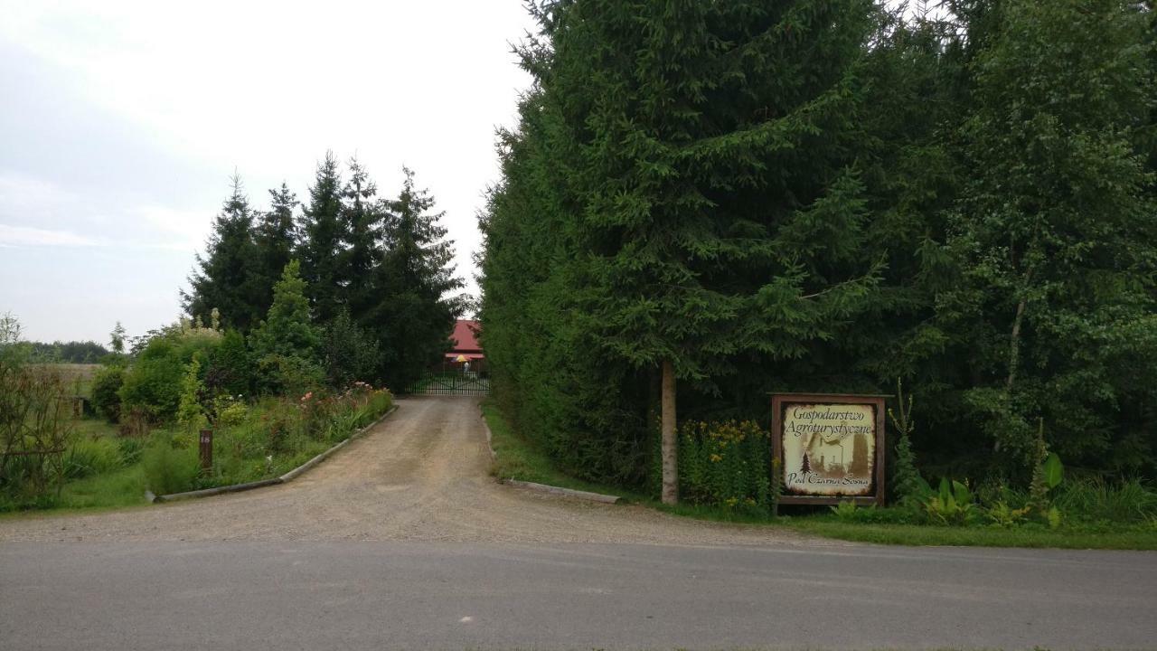 Agroturystyka Pod Czarna Sosna Bialy Lug Exteriér fotografie