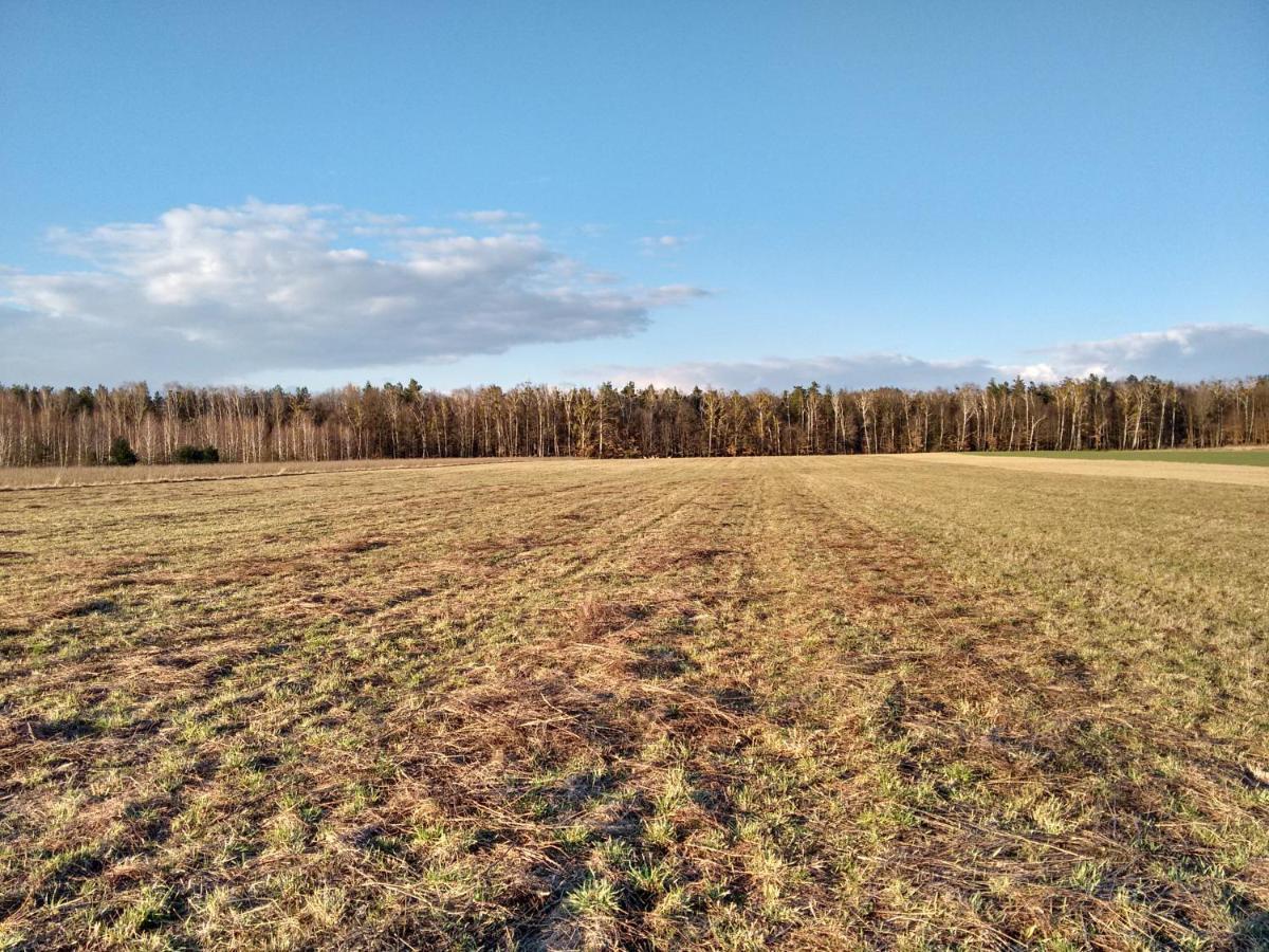 Agroturystyka Pod Czarna Sosna Bialy Lug Exteriér fotografie