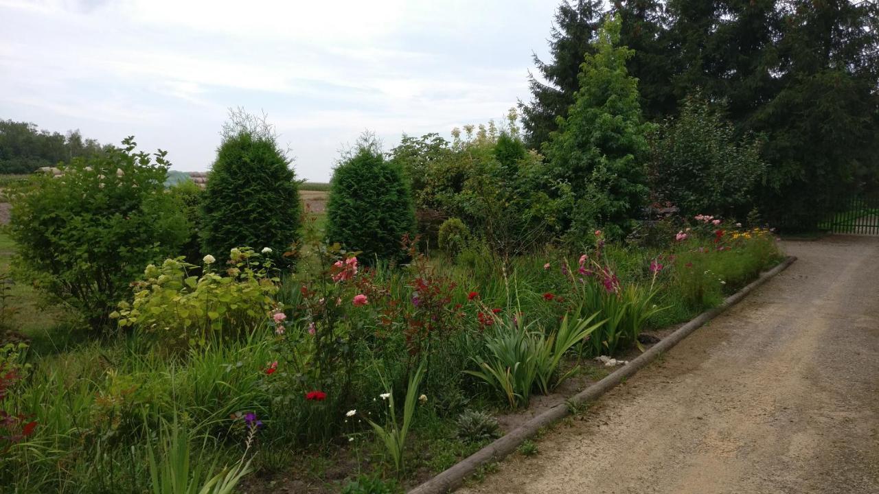 Agroturystyka Pod Czarna Sosna Bialy Lug Exteriér fotografie