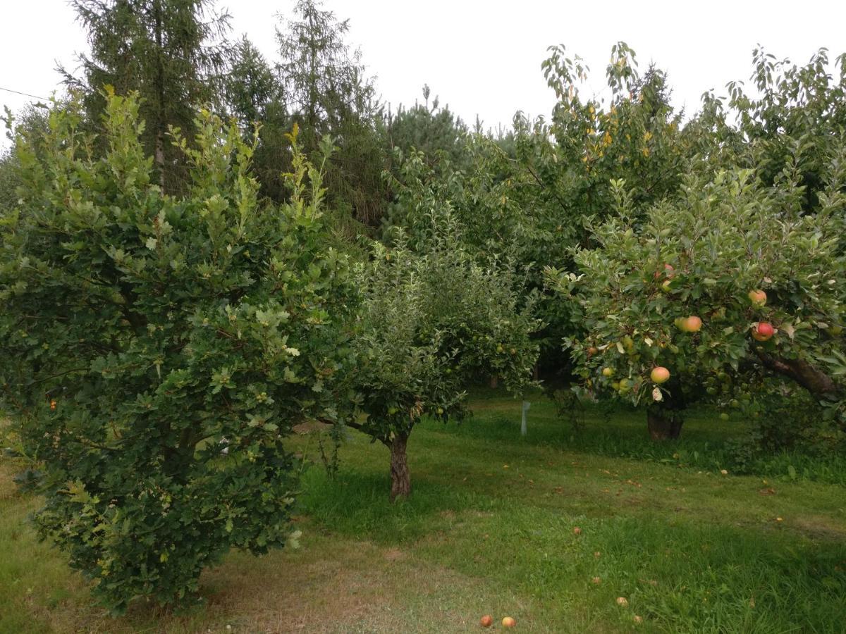Agroturystyka Pod Czarna Sosna Bialy Lug Exteriér fotografie